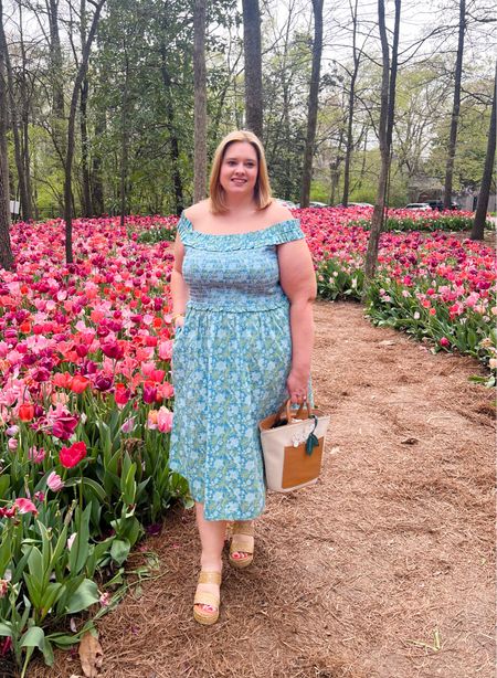 This society social x crown & ivy beauty is such a perfect dress for spring. This one runs big, I am in the xxl but really need an xl 

#LTKSeasonal #LTKstyletip #LTKplussize