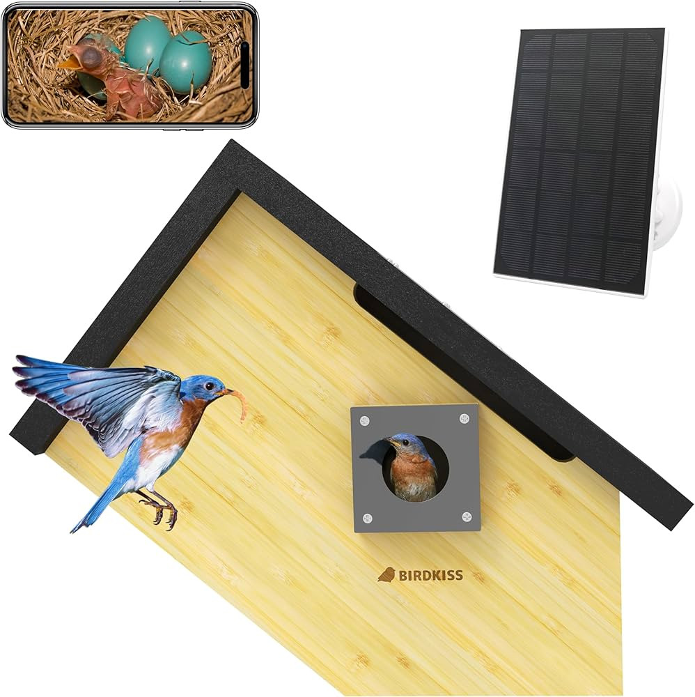 Smart Bird Houses for Outside Solar Powered, 1080P HD Live View Birdhouse with Camera, Perfect Vi... | Amazon (US)