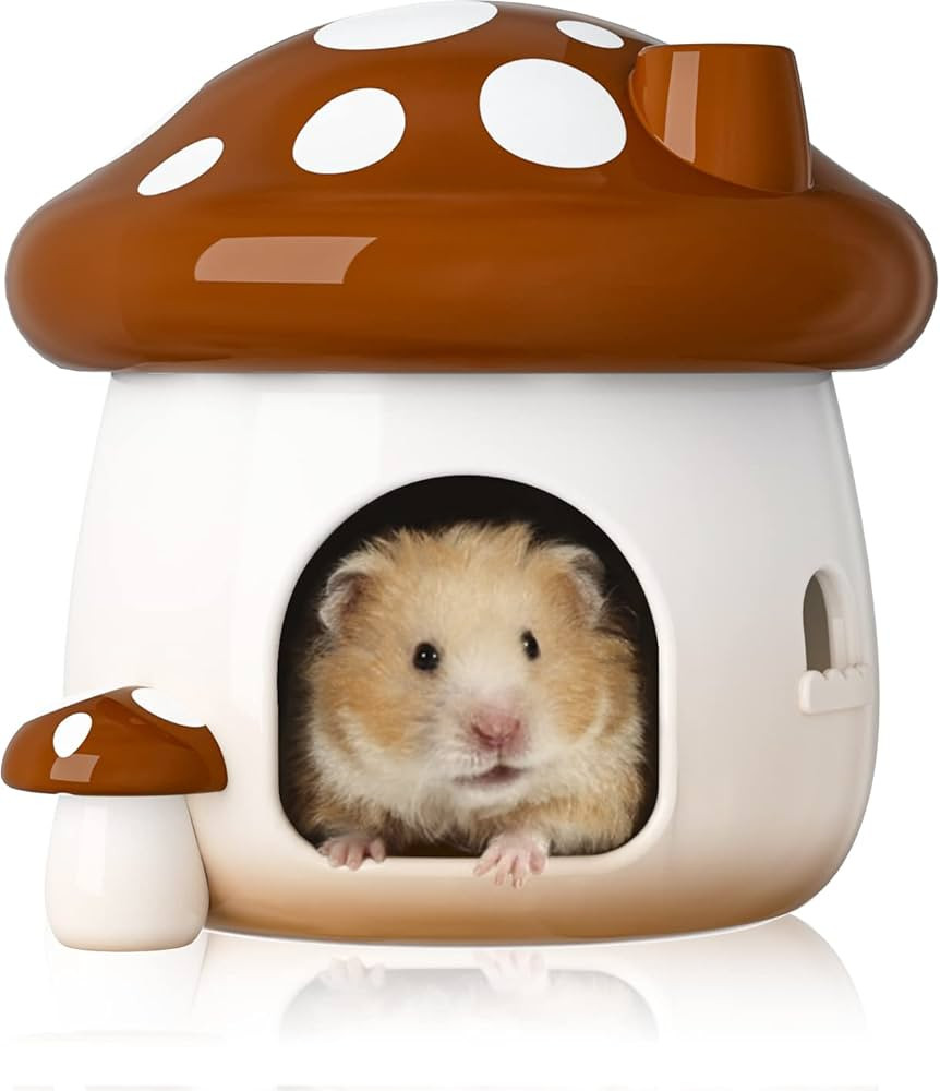 BUCATSTATE Hamster Hideout Ceramic, Mushroom Shape Hamster House and Habitats Cool Bed Ideal for ... | Amazon (US)