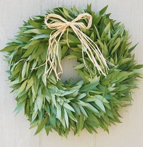 McFadden Farm Fresh Bay Leaf Wreath with Raffia Bow | Amazon (US)