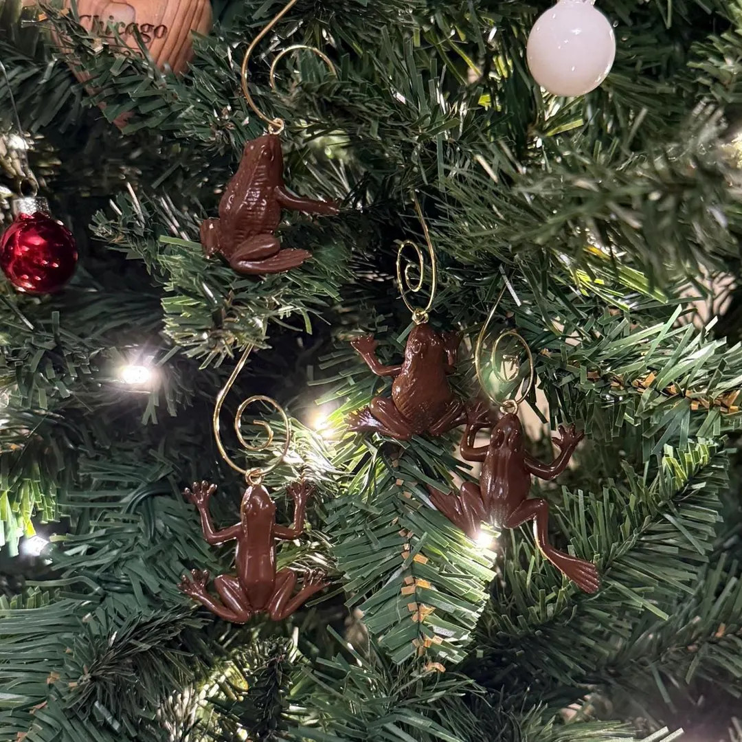 Harry Potter Chocolate Frog Ornament - Etsy | Etsy (US)