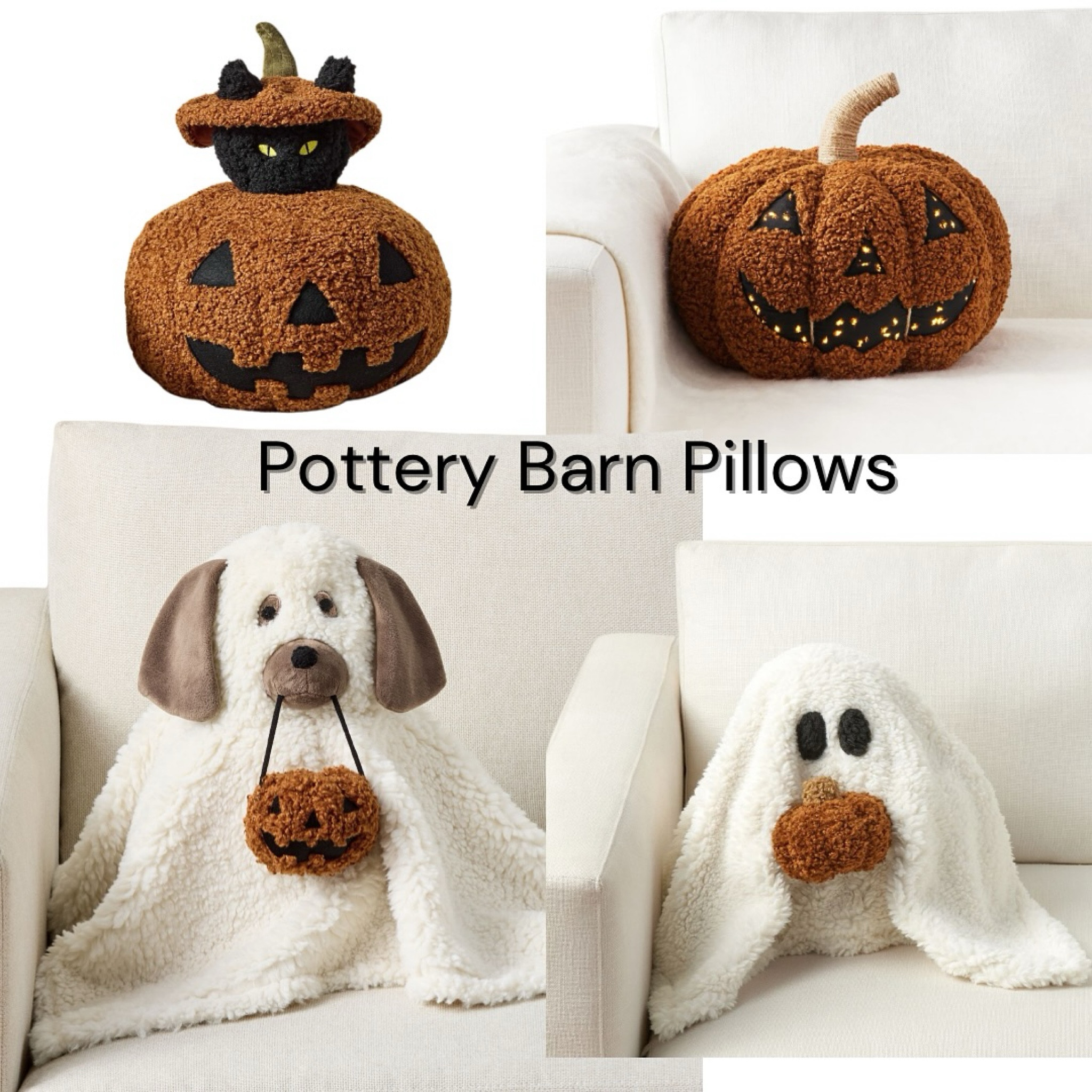 Is that dog ghost pillow not the cutest thing ever! I love him! 🎃🥹 Comment “PB” for a link to these spooky, comfy friends! @trendyfavefinds