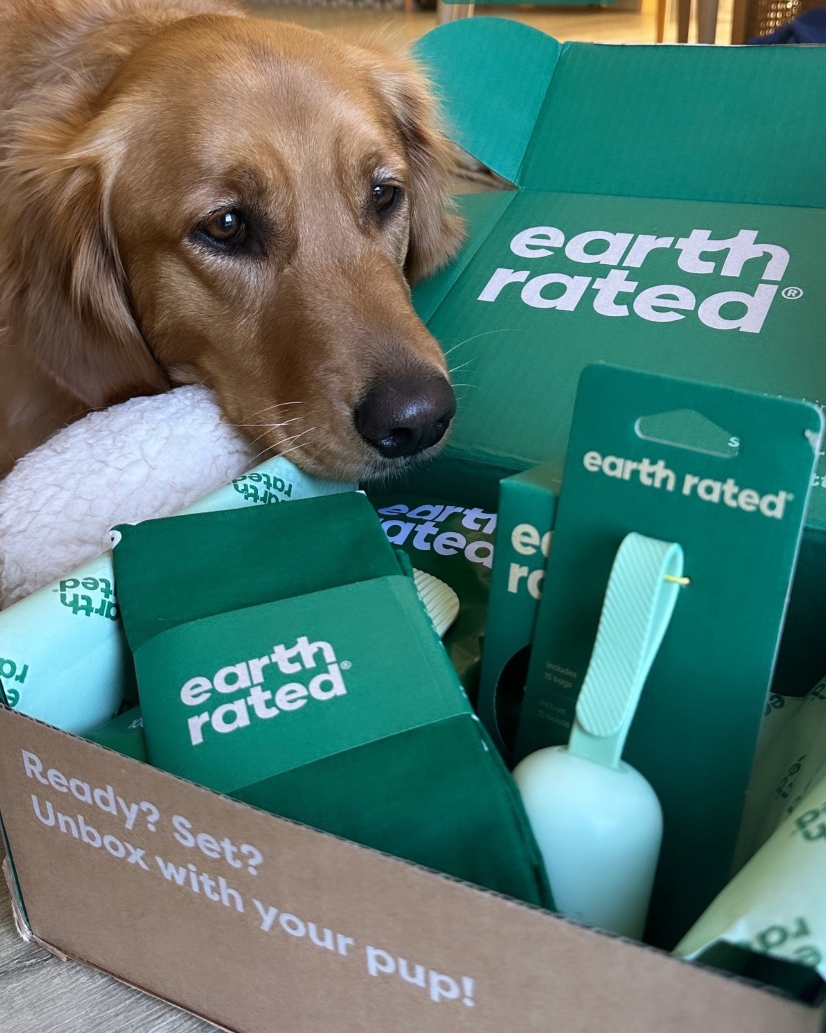 Pet deals for Amazon prime day . 

#LTKFindsUnder50 #LTKPets #LTKSaleAlert