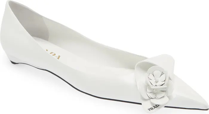 Loop Bouquet Pointed Toe Flat (Women) | Nordstrom