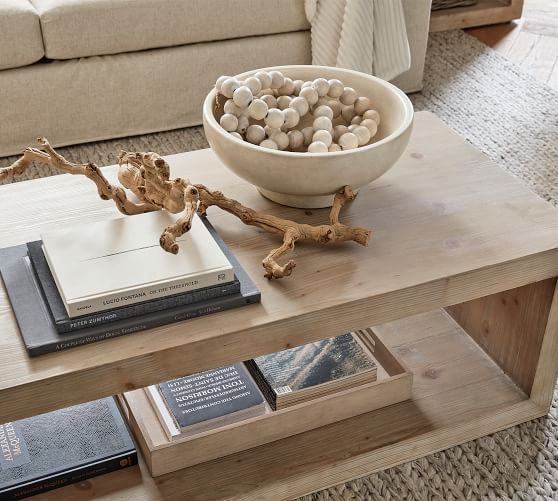 Dried Grapewood Branch | Pottery Barn (US)