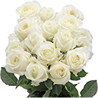 Benchmark Bouquets 50 White Roses Farm Direct (Fresh Cut Flowers) | Amazon (US)