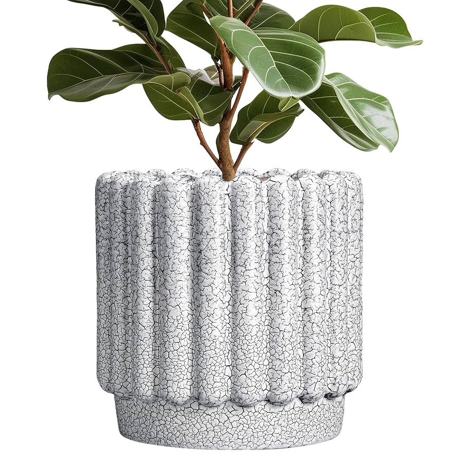 Ceramicfor | Amazon (US)