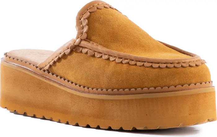 Seychelles Stand Tall Platform Clog (Women) | Nordstrom | Nordstrom