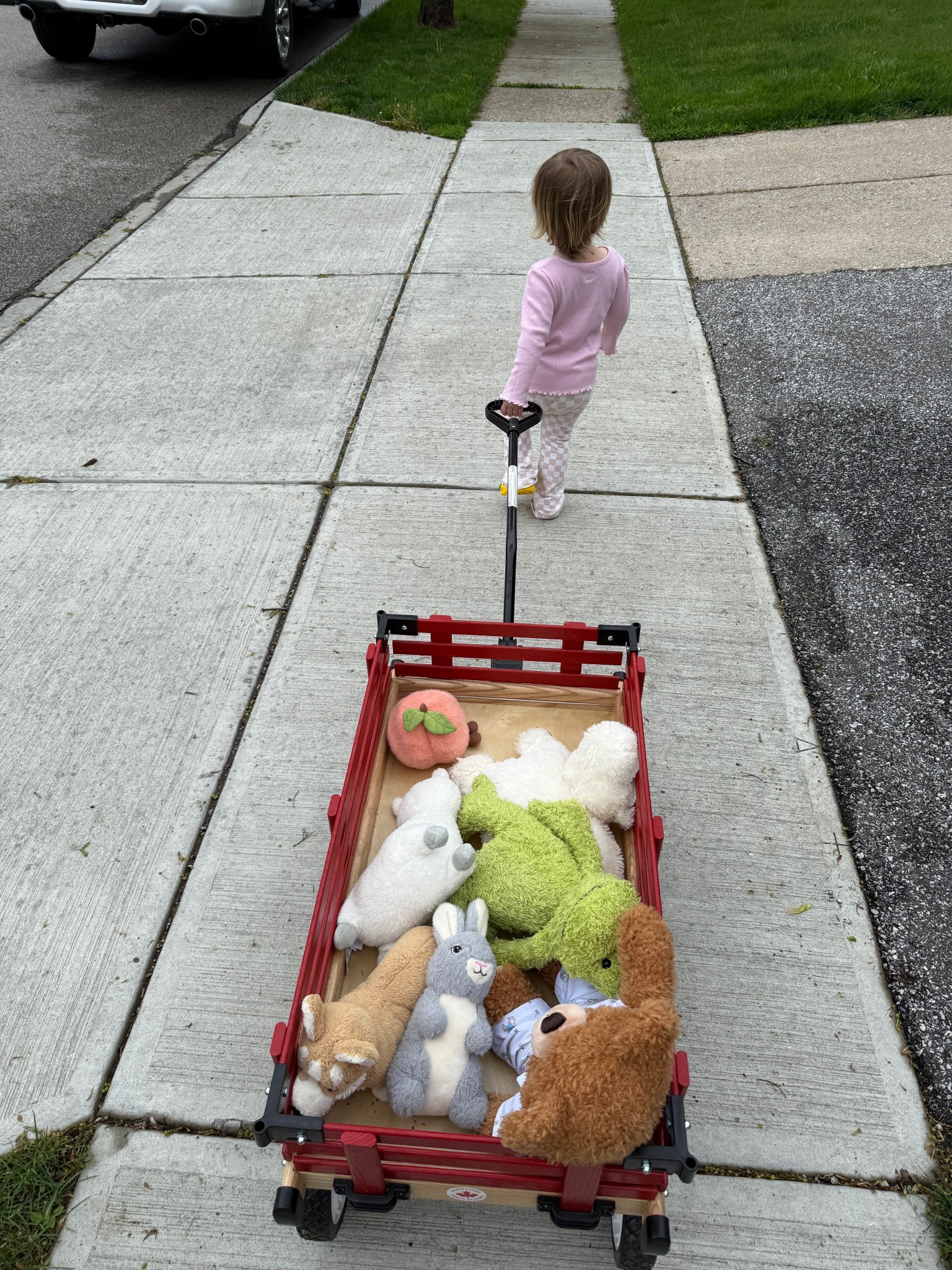 Wagon has been a big hit the summer, she loves putting her animals in it! 

#LTKSeasonal #LTKKids #LTKBump