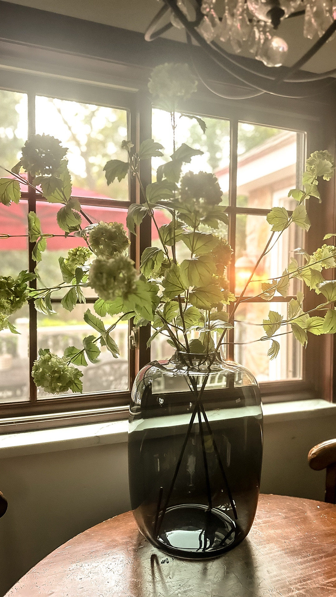 Why didn’t I buy these sooner?
I’ve been eyeing these pottery barn snowball branches for months. Now I’ve pulled the trigger and couldn’t be happier 
Scroll for these, and all my favorite botanicals 

#LTKSeasonal #LTKHome #LTKStyleTip