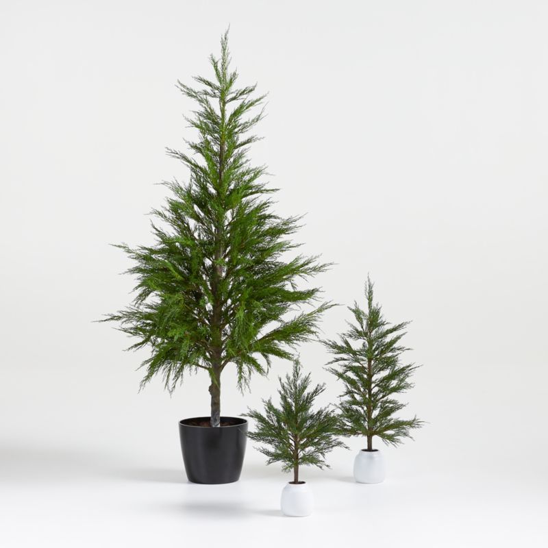 Faux Potted Cypress Trees | Crate and Barrel | Crate & Barrel