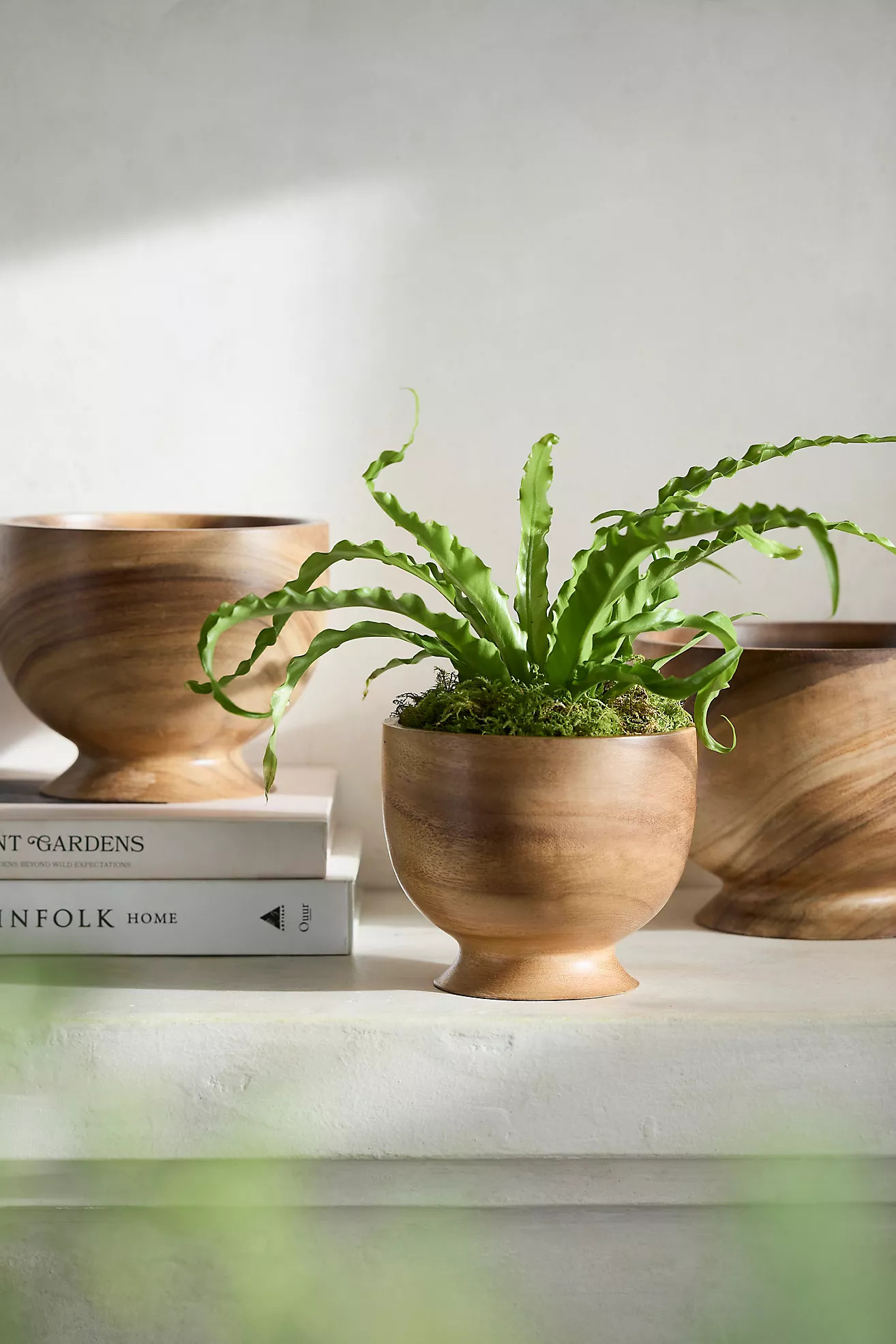 Footed Acacia Bowl Planter | Anthropologie (US)