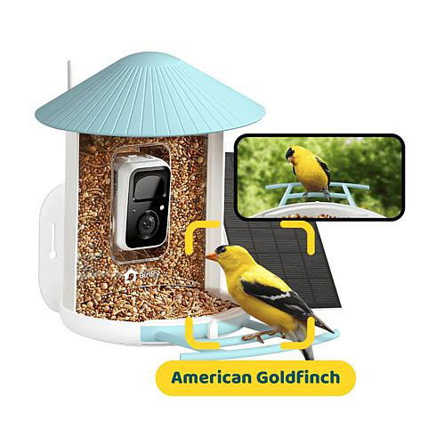 Birdfy BIRDFY AI Auto Capture Motion Detection Solar Powered Bird Feeder | HSN