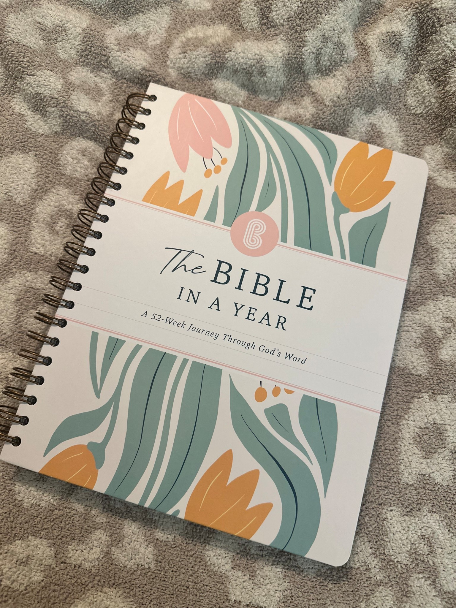 The Bible in a Year by Spiral Bible 🤍📖✝️🕊️

#LTKSaleAlert #LTKstorytime #LTKdayinmylife