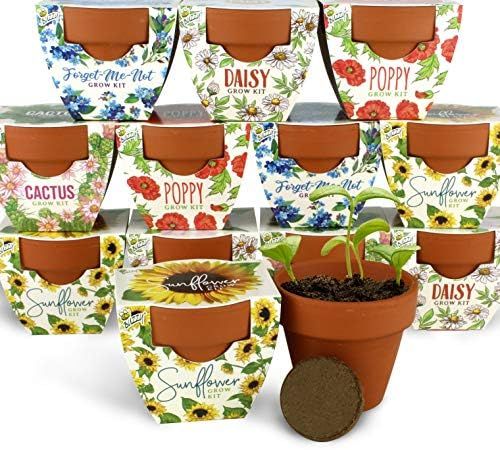 Buzzy Seeds Terracotta Mini Assorted 12-Pack | Best Gardening Gifts and Favors for Weddings, Part... | Amazon (US)
