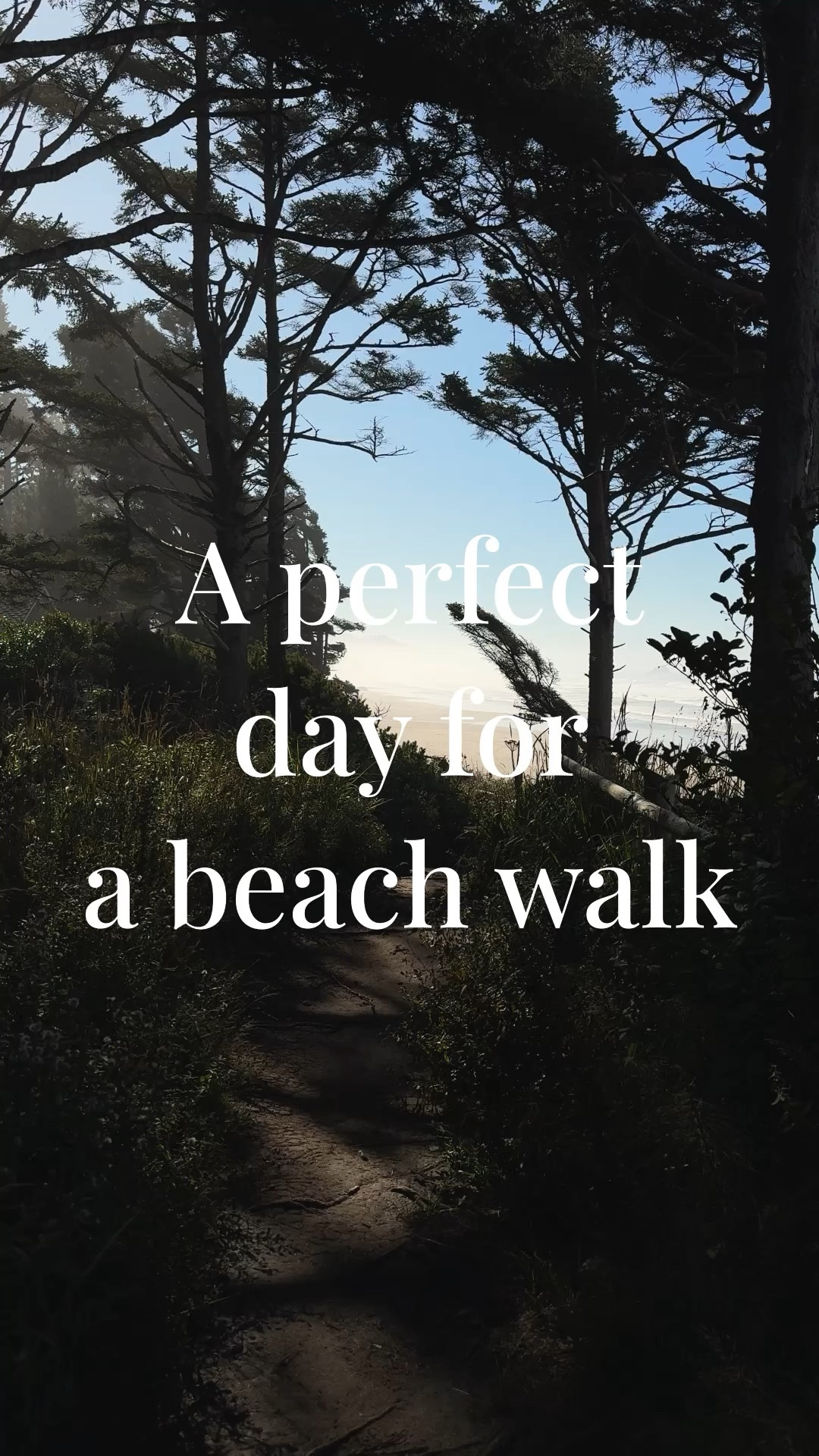 From one of the last days of my babymoon on the coast: wearing Cos cashmere sweater (undyed yarn, there’s something special about that) + maternity leggings by H&M (these have already been through the washer a couple dozen times and I am impressed by the quality) + Ilse Jacobsen Rub 47 waterproof boots (best all around boots for ever changeable weather anywhere between Seattle and Portland) + Buck Mason felted field shirt (my hubby’s but they have a women’s version which looks and feels exactly the same). Sunglasses - Saint Laurent. 
Sound on for ocean vibes 🌊🌊🌊💭💭💭

#LTKSeasonal #LTKVideo #LTKxMadewell