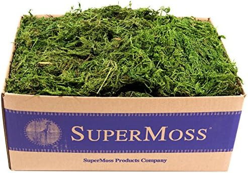 SuperMoss (25325) Forest Moss Preserved, Fresh Green, 3 Pounds | Amazon (US)