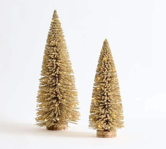 Lit Bottlebrush Trees | Pottery Barn (US)