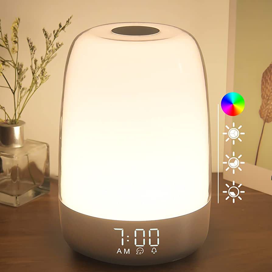 winshine Touch Wake Up Night Light with Sunrise Simulation Alarm Clock, 3 Ways Dimmable Warm Whit... | Amazon (CA)
