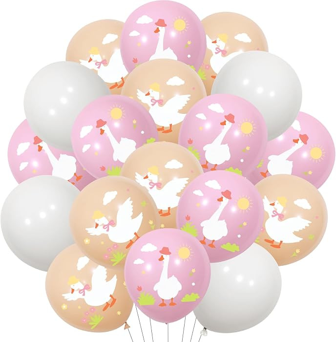 Cheereveal 45PCS Goose Balloons Decorations for Girls, Pink Silly Goose Table Centerpiece Balloon... | Amazon (US)