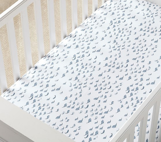 Jack Organic Crib Fitted Sheet | Pottery Barn Kids