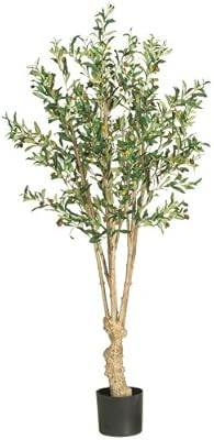 Nearly Natural 5258 Olive Silk Tree, 5-Feet, Green,9" x 9" x 62.5" | Amazon (US)
