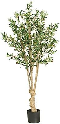 Nearly Natural 5258 Olive Silk Tree, 5-Feet, Green | Amazon (US)