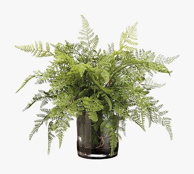 Faux Lace Fern In Glass Vase | Pottery Barn (US)