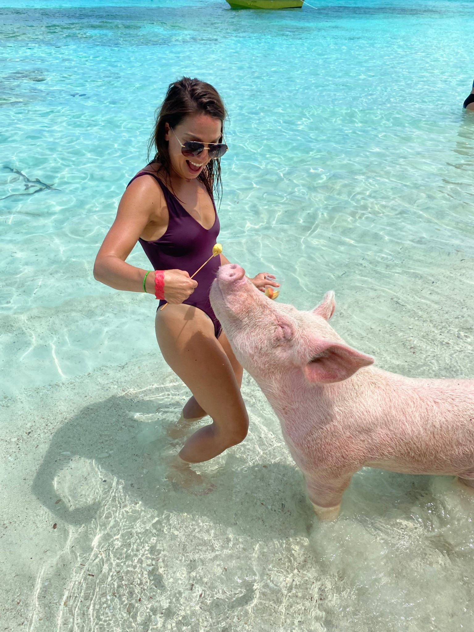 Swimmin with the pigs #swim #bathingsuit

#LTKTravel #LTKPetite