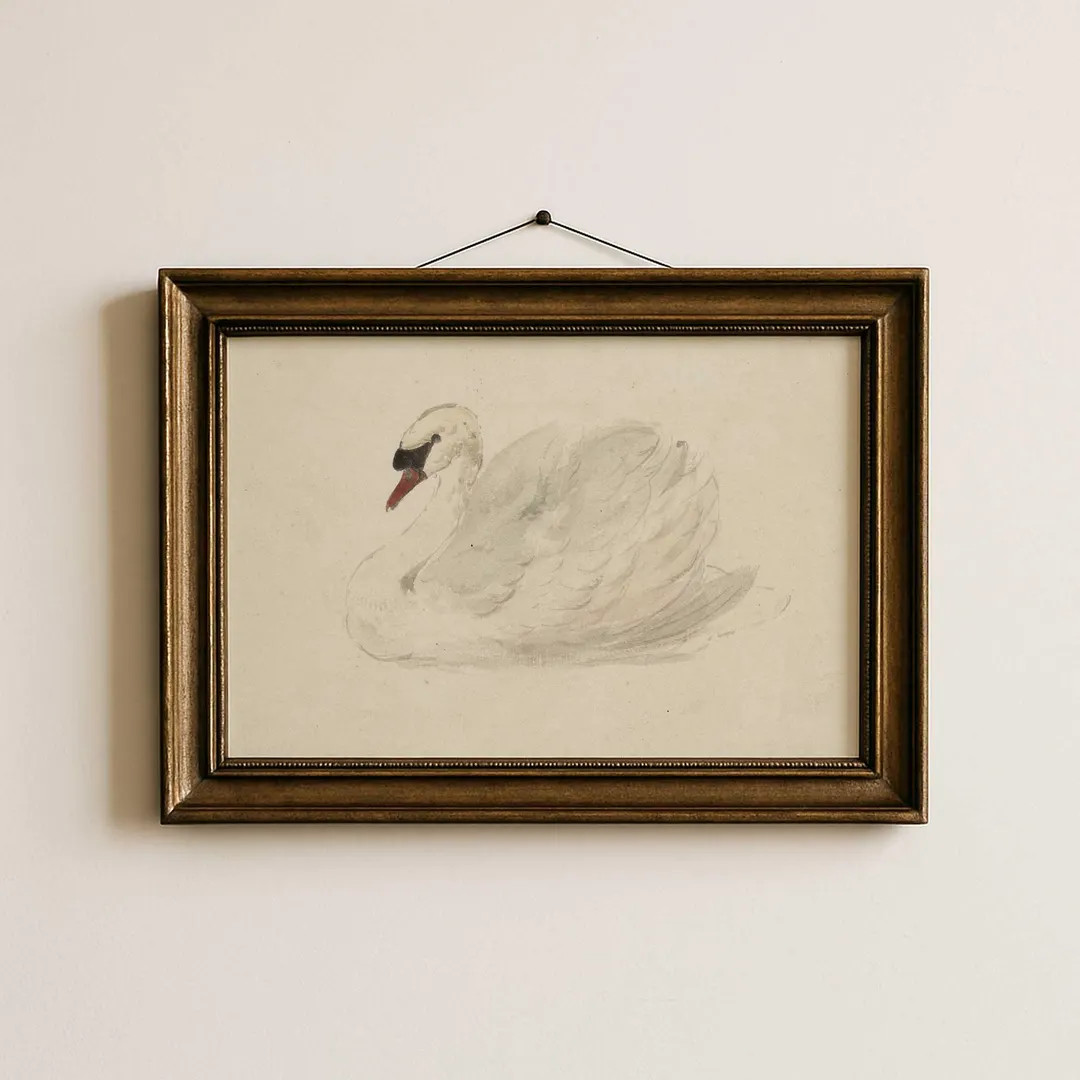 Vintage Swan Wall Art, Antique Bird Illustration Print, Neutral Nursery Decor - Etsy | Etsy (Global)