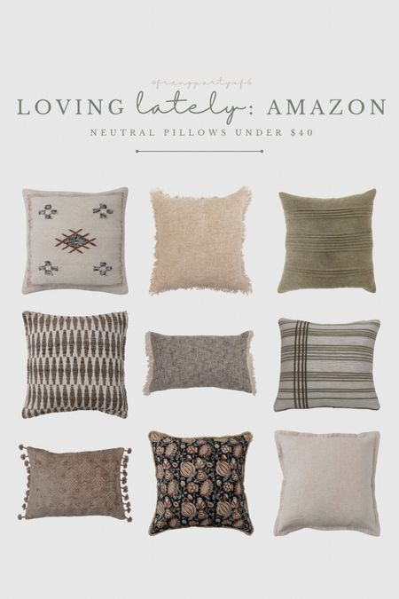 Some of my favorite Amazon pillows! All $40 or under.

Amazon find, living room, bedroom

#LTKhome #LTKsalealert #LTKunder50