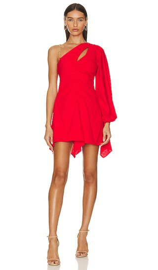 Rosalie Mini Dress in Bright Red | Revolve Clothing (Global)