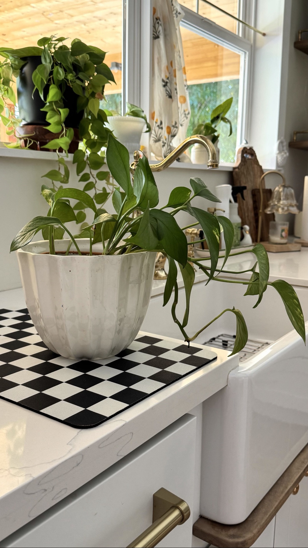 Add a touch of greenery to your kitchen with this vibrant pothos plant. Keep it healthy with water conditioner and soil booster🌿

#LTKHome #LTKSeasonal #LTKmomlife