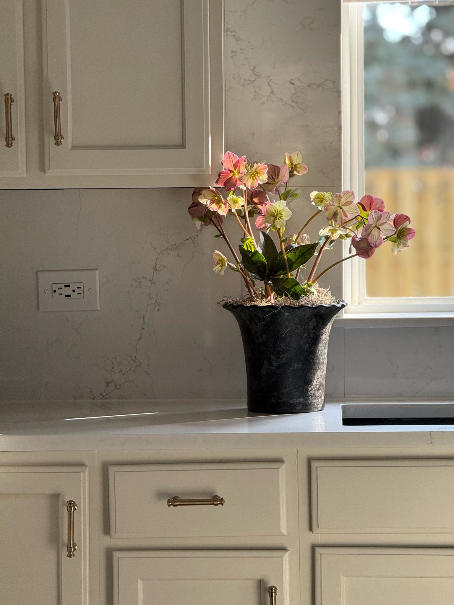 Terracota scalloped planter sale. I have the medium size, the small is on sale. Perfect for a little herb plant on your kitchen counter.

#LTKSaleAlert #LTKHome