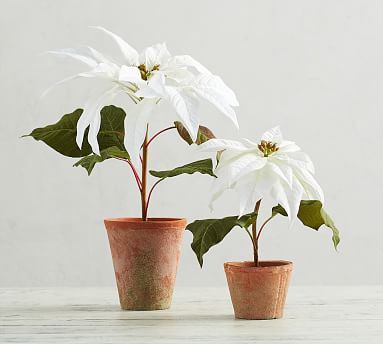 Faux Potted Poinsettias - White | Pottery Barn (US)