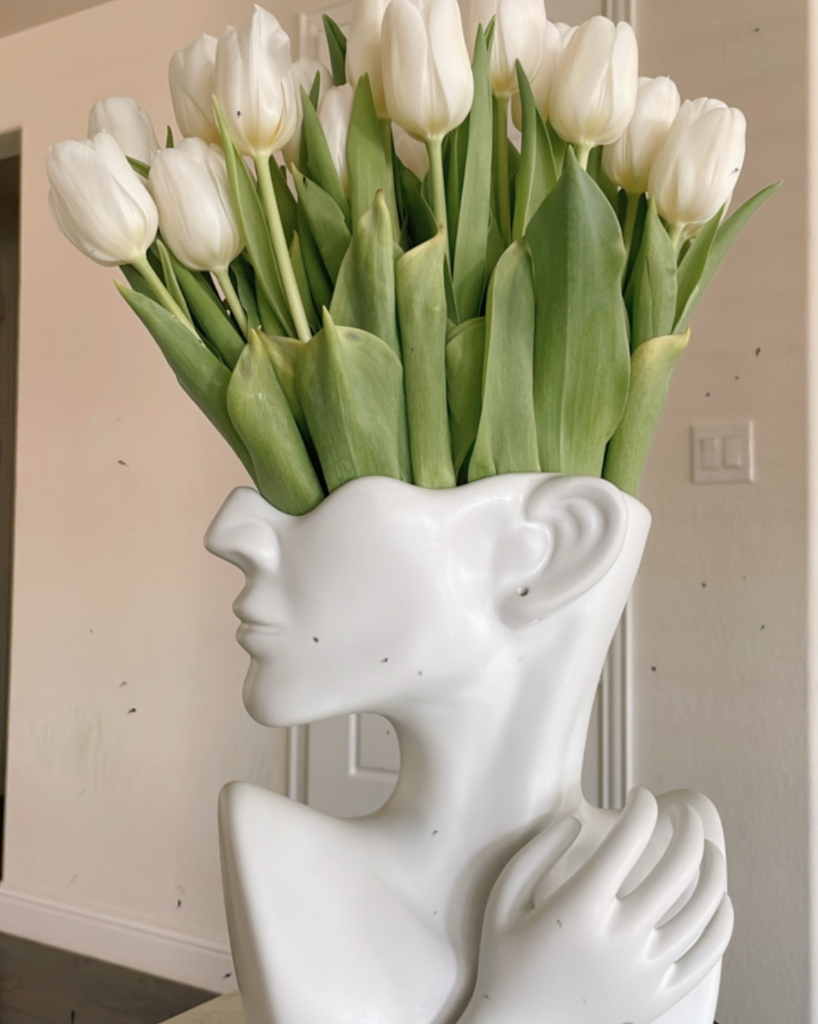 Prime day deal

#LTKHome #LTKFindsUnder50 #LTKSaleAlert