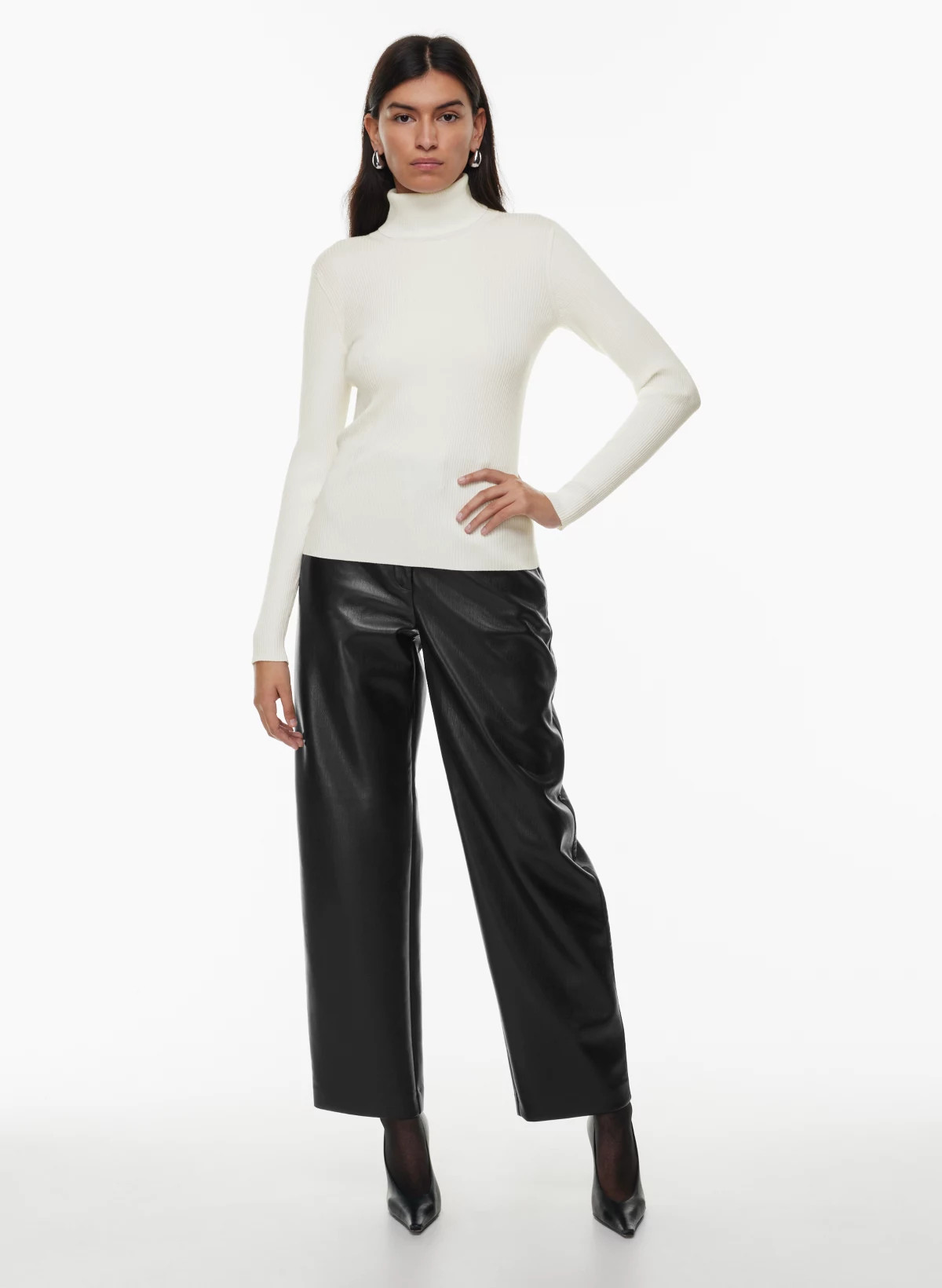 COMPEL TURTLENECK | Aritzia