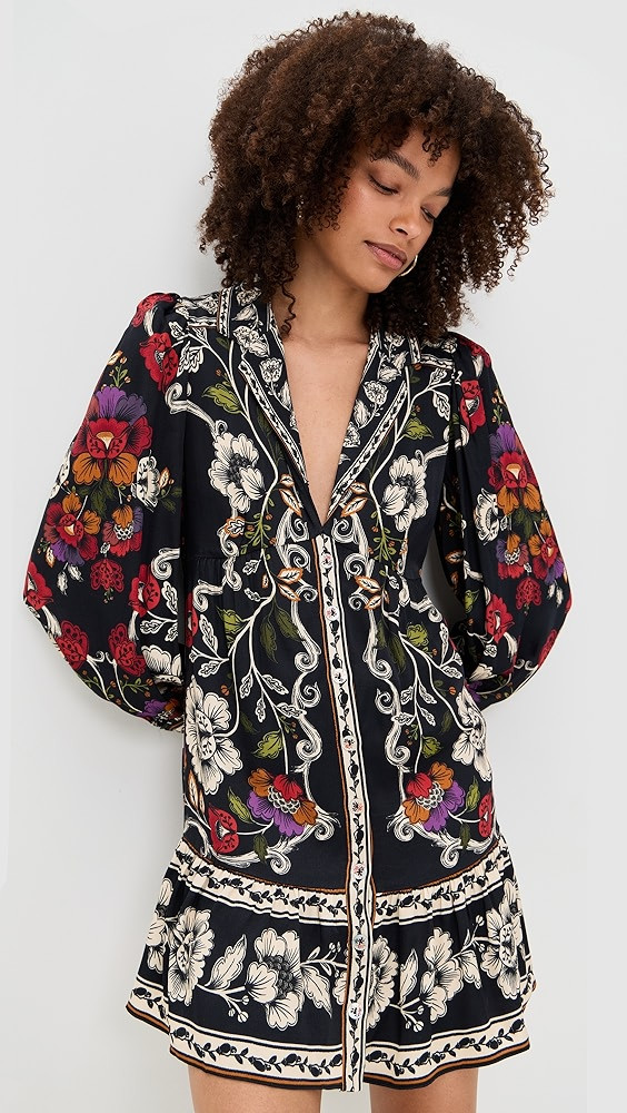 Rococo Flowers Black Mini Dress | Shopbop