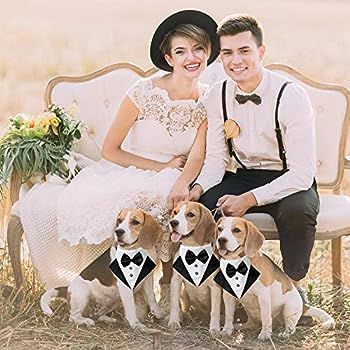 Formal Dog Tuxedo Wedding Dog Bandana Collar Dog Collar with Bow Tie Adjustable Dog Bowtie Collar... | Amazon (US)