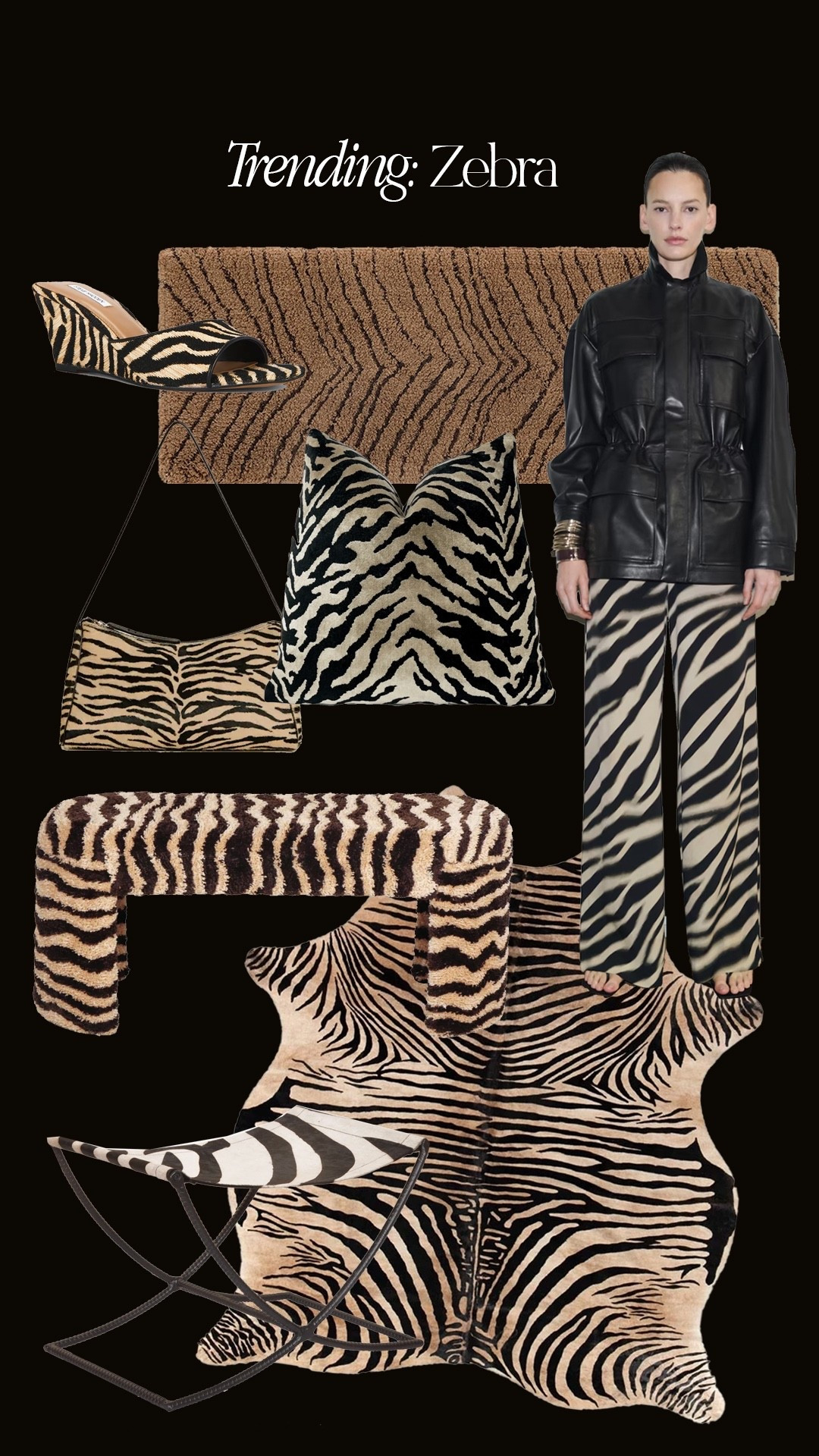 Trending: Zebra 