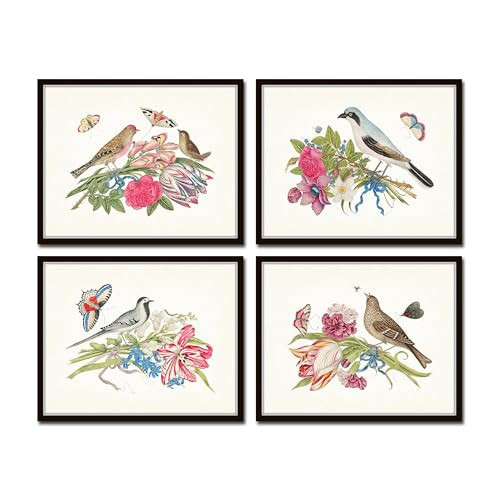 Bird Prints Birds Blooms Print Set No. 1, 11X14 SET OF 4, Unframed | Amazon (US)
