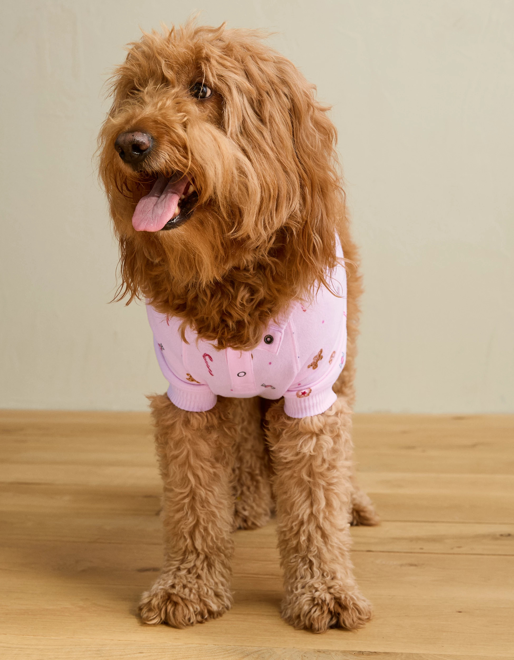ABO Baked Goods Plush Dog Pajama | American Eagle Outfitters (US & CA)