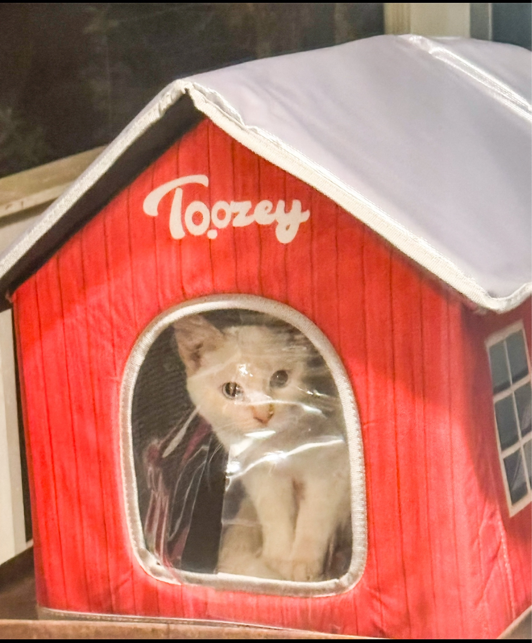 Snowball absolutely loves her little warm hideout!! So great for keeping her warm during these COLD nights 