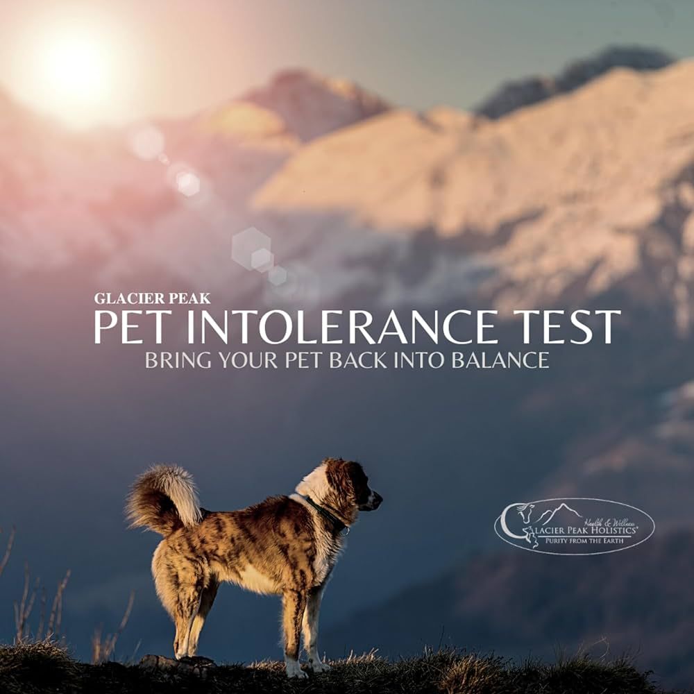 Glacier Peak Holistics Original Pet Intolerance Test - Test Over 300 Food and Environmental Stres... | Amazon (US)