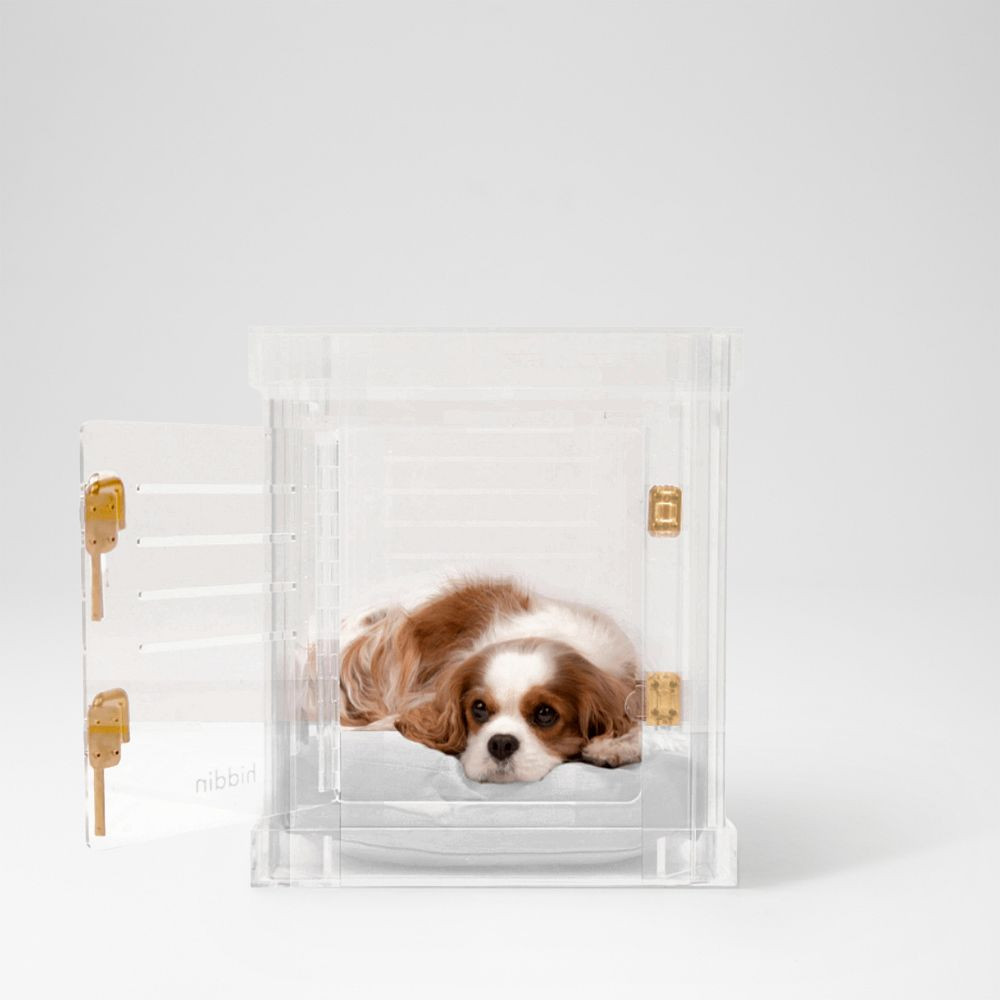 Hiddin Lucite Pet Crate with Cushion | Mark and Graham