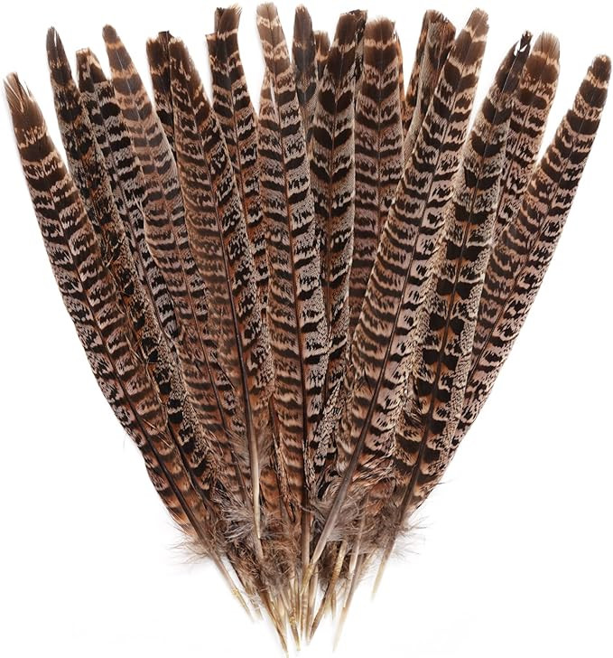 obmwang 27Pcs 25-30cm Natural Pheasant Feathers for DIY Craft Wedding Home Party Decorations | Amazon (US)