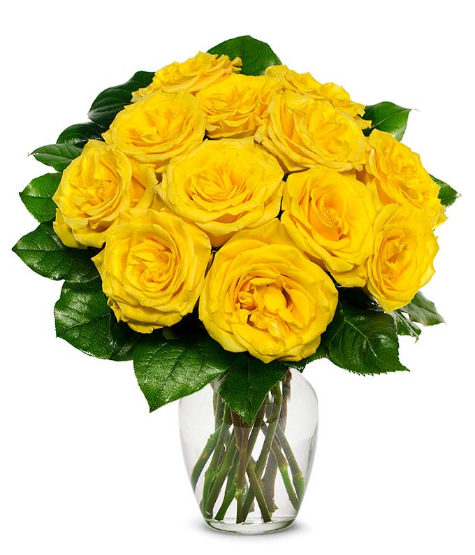 One Dozen Yellow Roses | From You Flowers