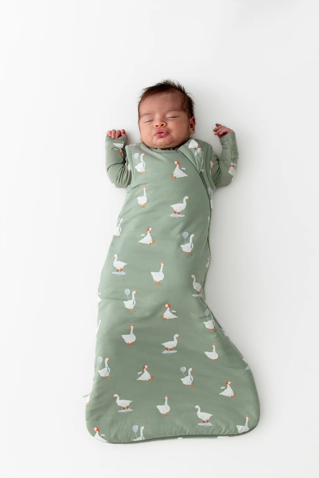 Sleep Bag in Silly Goose 1.0 | Kyte Baby