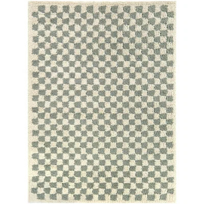 Walker Checkered Sage/Cream Shag Area Rug | Wayfair North America