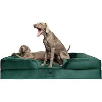NOAH & PAW Giant Dog Bed XXL, 55x45x11 Inch, Orthopedic Dog Beds, Eggshell Memory Foam Infused wi... | Amazon (US)